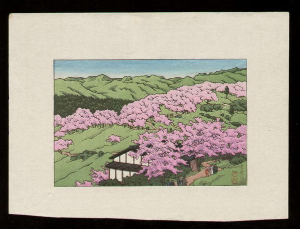 Park Spring Scene
