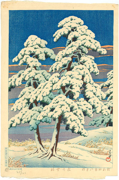 Pine Tree After Snow