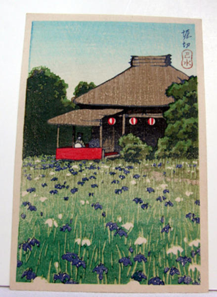 Unknown, flower garden