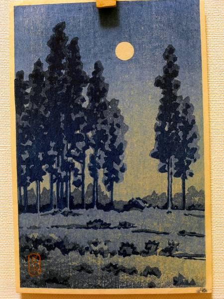 Untitled- Night country scene