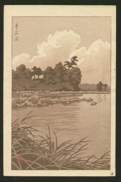 Ushiku Marsh- Ushikunuma