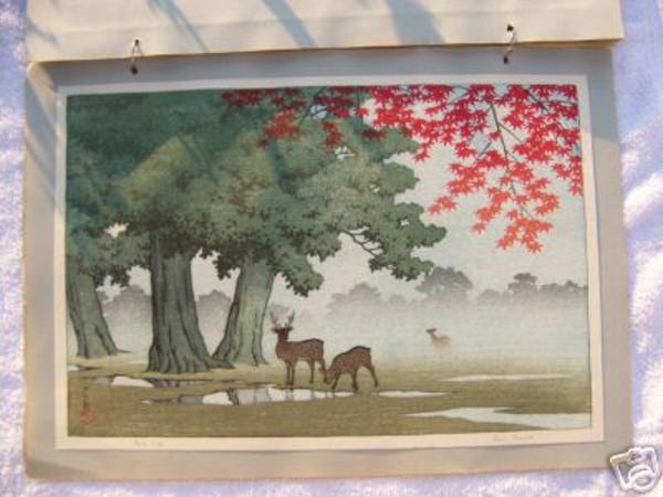 Nara Park