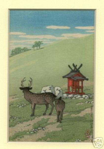 Deer Strolling along Kasuga Shrine, Nara