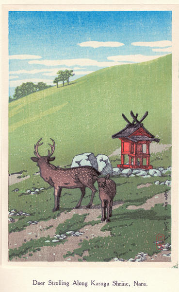 Deer Strolling along Kasuga Shrine, Nara