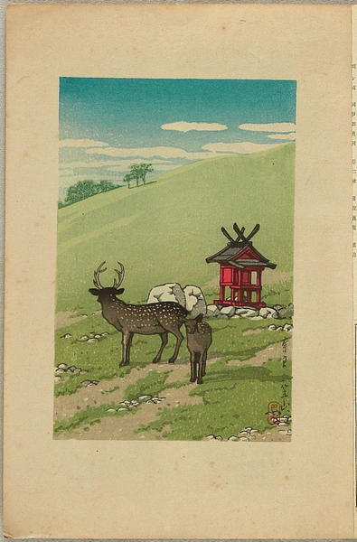 Deer Strolling along Kasuga Shrine, Nara