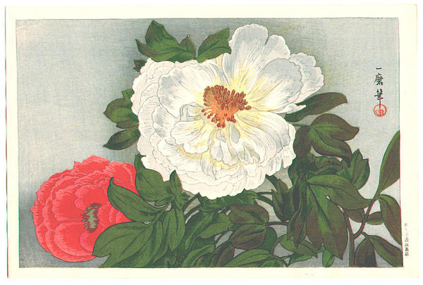 Peonies