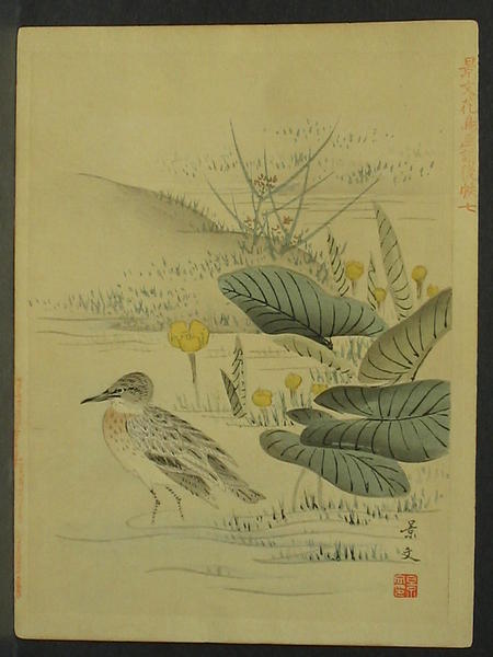 Sandpiper in lake