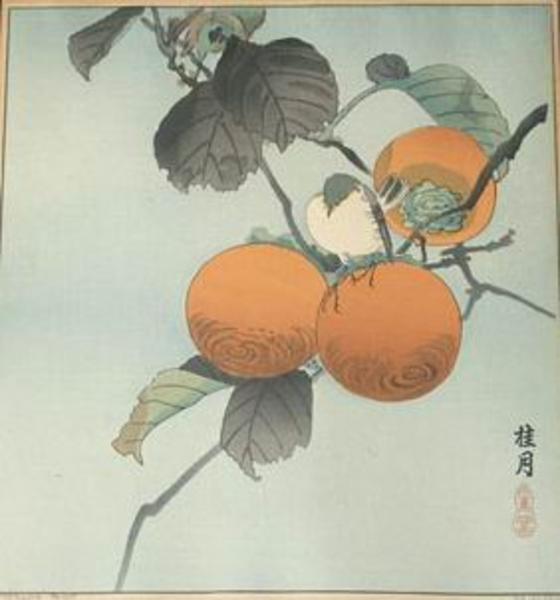 Unknown birds and fruit