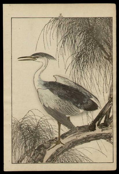 Heron