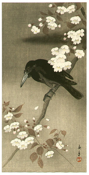 Crow and Cherry Blossoms