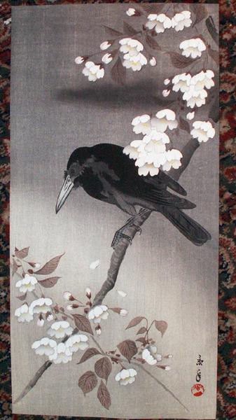 Crow and Cherry Blossoms