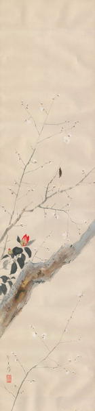 Camellia and Plum Blossoms