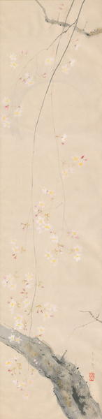 Three Aspects of Spring - Cherry Blossoms at Sunrise