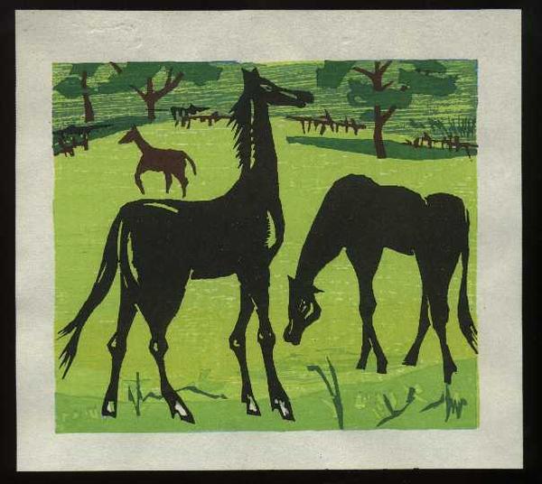 Black horses