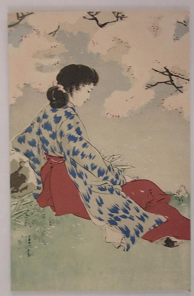 Bijin Under Sakura