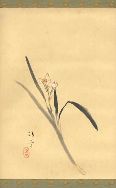 Daffodil