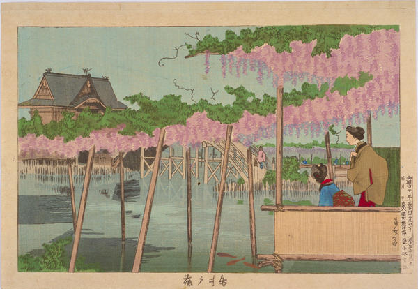 Wisteria at Kameido