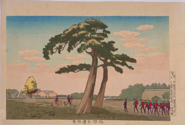 Benkeibori Field at Sakurada