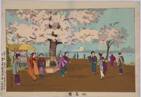 Cherry Blossoms at Mukojima