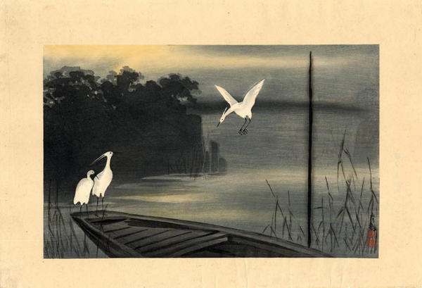 Kinoshita River- White Herons at Dawn