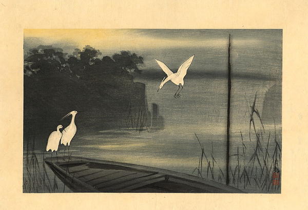Kinoshita River- White Herons at Dawn