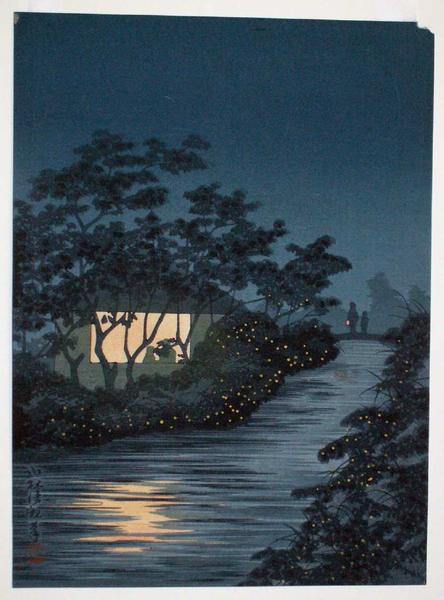 Fireflies at night