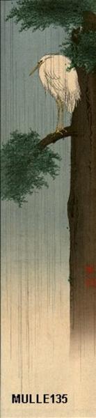 Egret in rain