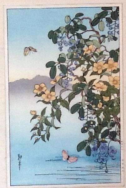 Flowers and Butterflies