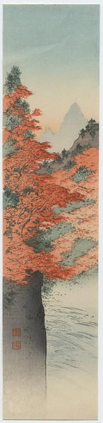 Mountain Gorge in Autumn