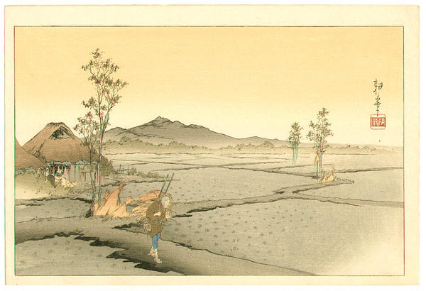 Mt Asama from the rice-field