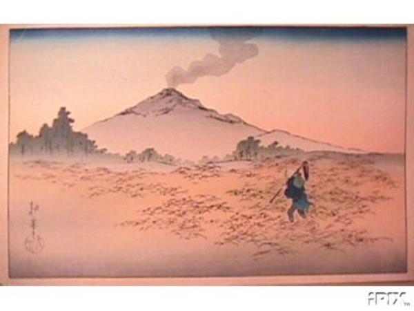 Mt Asama from the rice-field