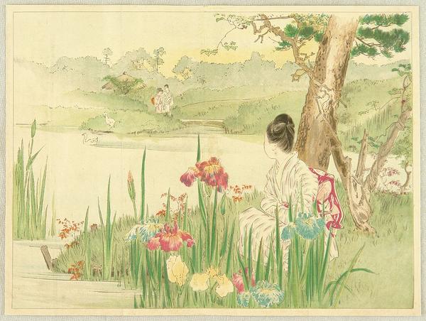 Iris Garden