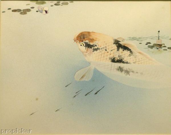 Koi- Japanese carp