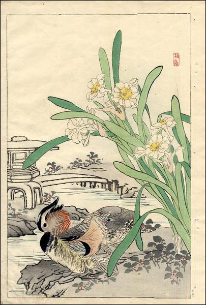 Mandarin Duck and Narcissus