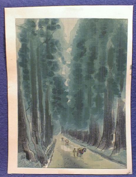 The Avenue of Ceder Trees in Summer - Nikko