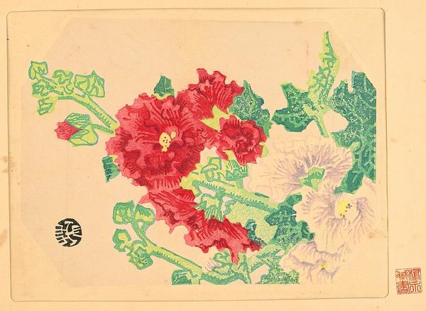Hollyhock