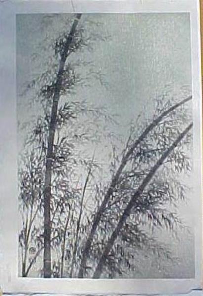 Bamboo