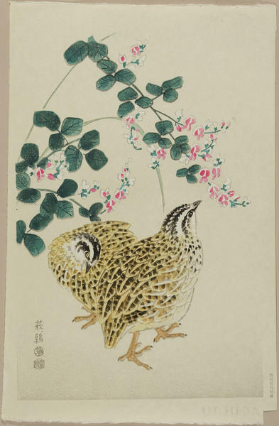 Quail and Lespedeza
