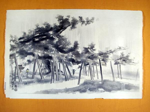 Summer Rain in Karasaki