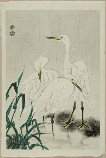 Heron in Rain