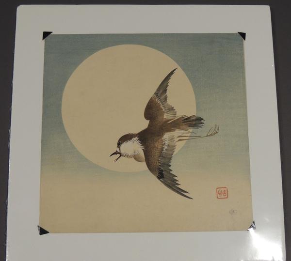 Flying Swallow Under the Sun