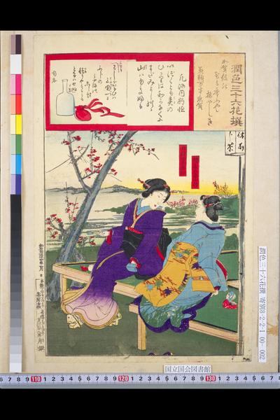 Plum Garden and Mt Fuji - Shinbashi