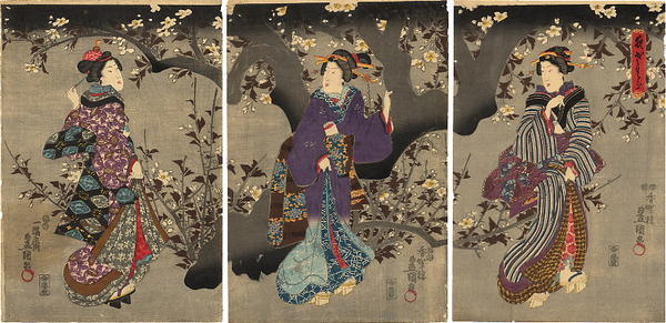 Night Cherry blossoms- Three Bijins under full cherry blossoms