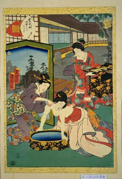CH9- Leaves of Wild Ginger
