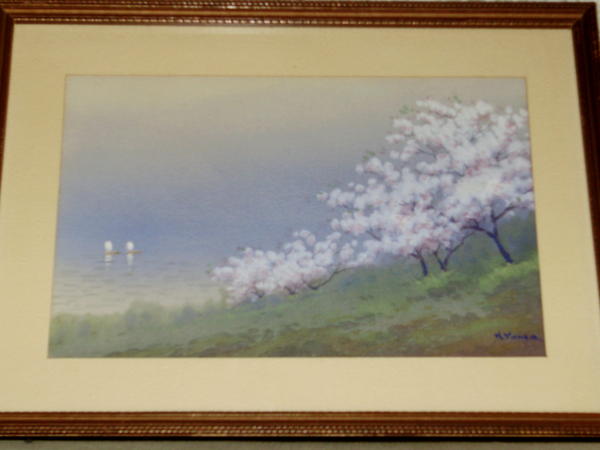 Riverbank in Spring