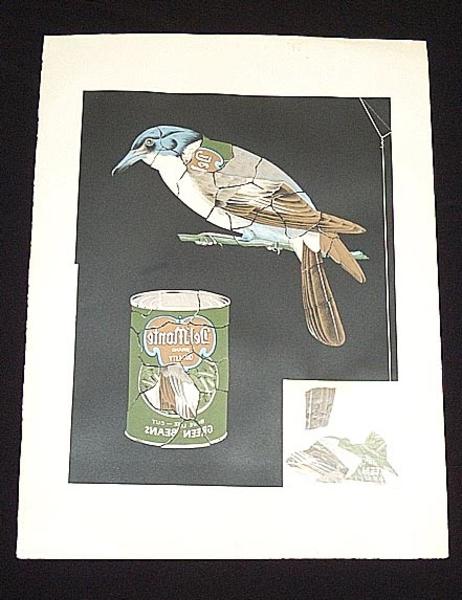 Unknown bird print