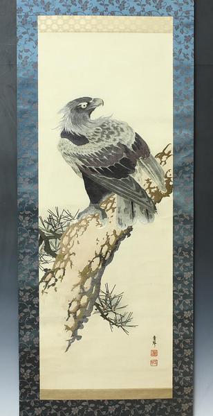 Eagle on Pine Tree