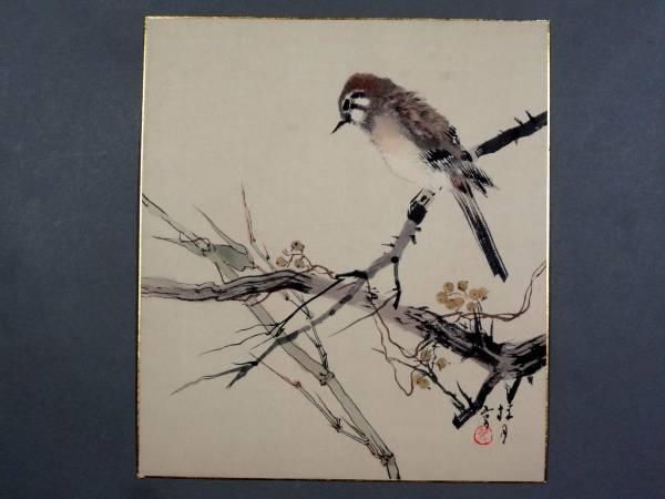 Sparrow