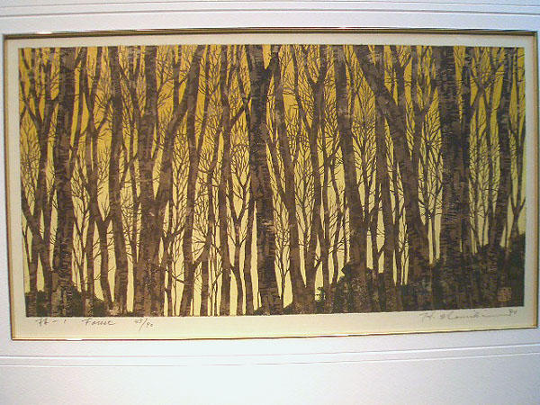 Forest 1