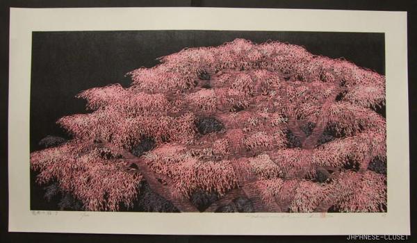 Weeping Cherry 7